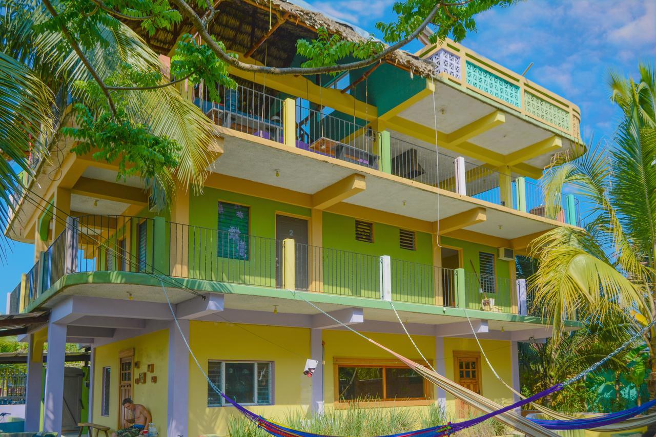 A Piece Of Ground Hostel Punta Gorda Ngoại thất bức ảnh