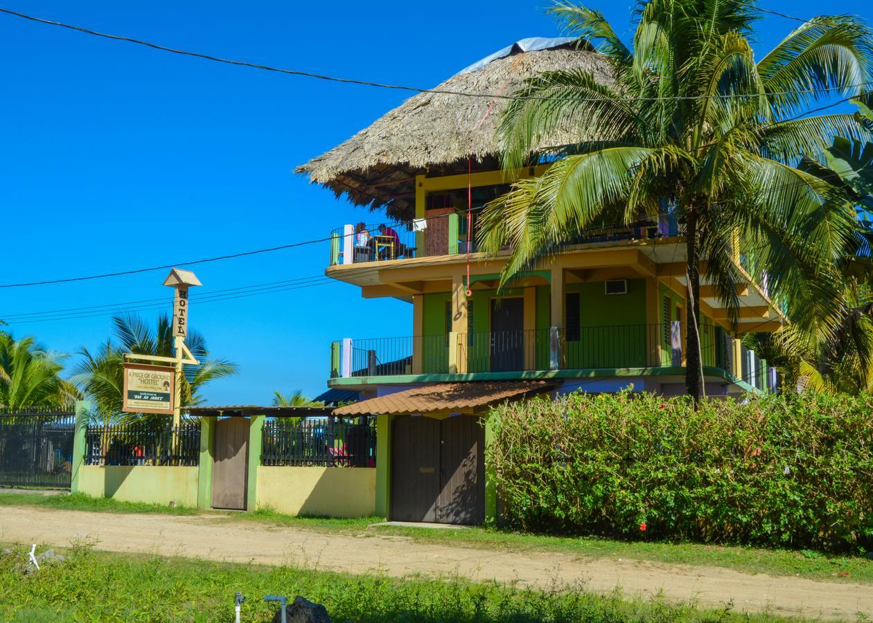 A Piece Of Ground Hostel Punta Gorda Ngoại thất bức ảnh