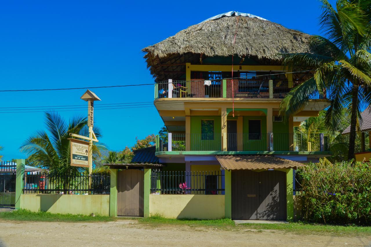 A Piece Of Ground Hostel Punta Gorda Ngoại thất bức ảnh