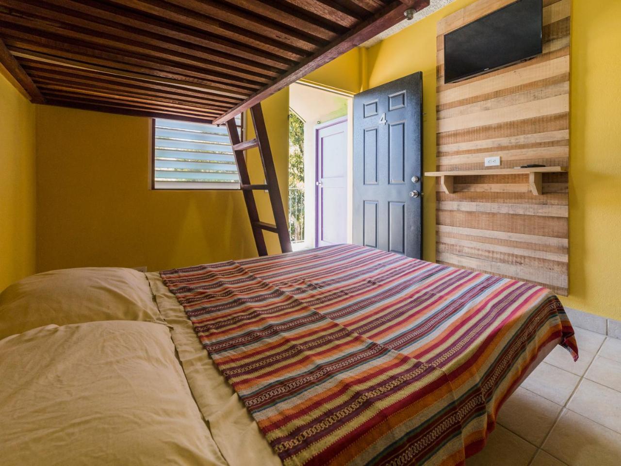 A Piece Of Ground Hostel Punta Gorda Ngoại thất bức ảnh